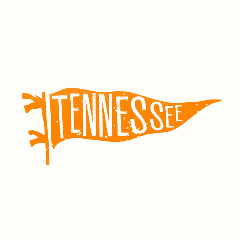 TN Pennant T-shirt