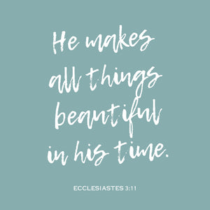 Ecclesiastes 3:11