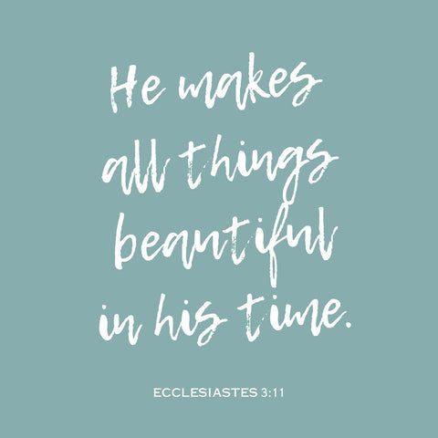 Ecclesiastes 3:11